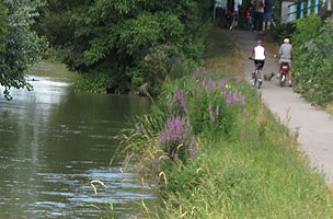 radweg marchfeldkanal