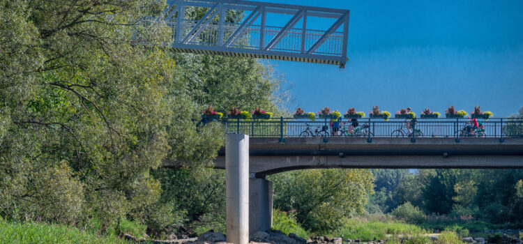 Radbrücke Traismauer gelandet!