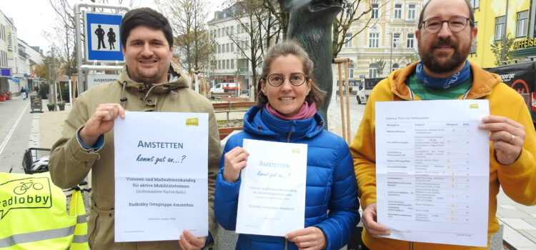 Maßnahmen- und Verbesserungsvorschläge für Niederösterreich